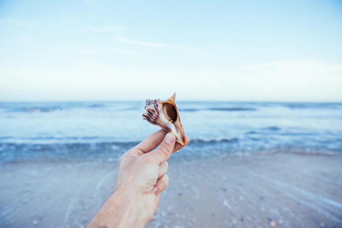 I found this little buddy washed up on the sand, so I tossed it back to it's watery home.