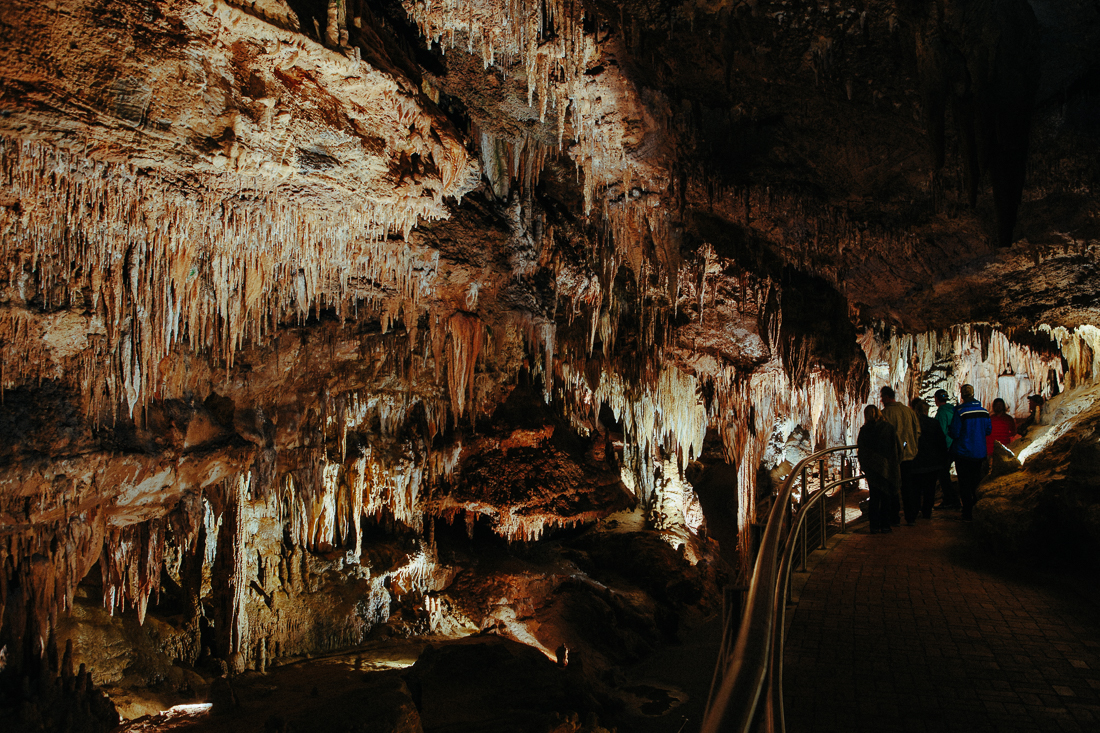 There are no living creatures in here other than the tourists.