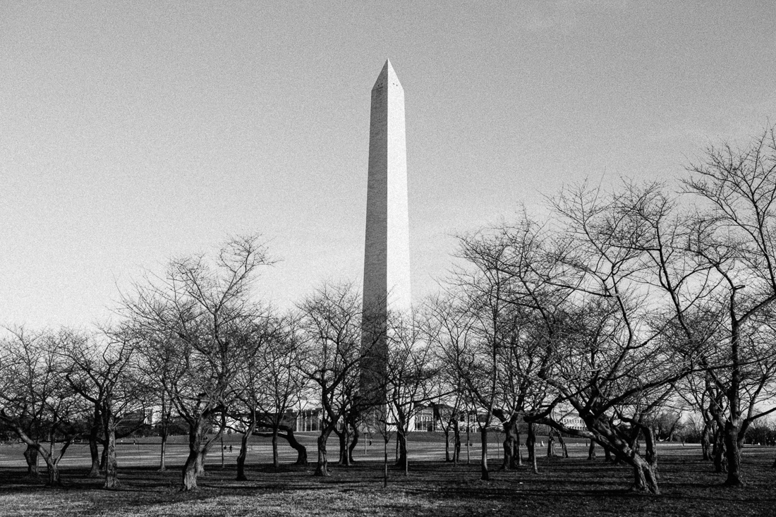 The Washington Monument is an interesting piece of architecture, I can't help but photograph it in every angle opportunity.