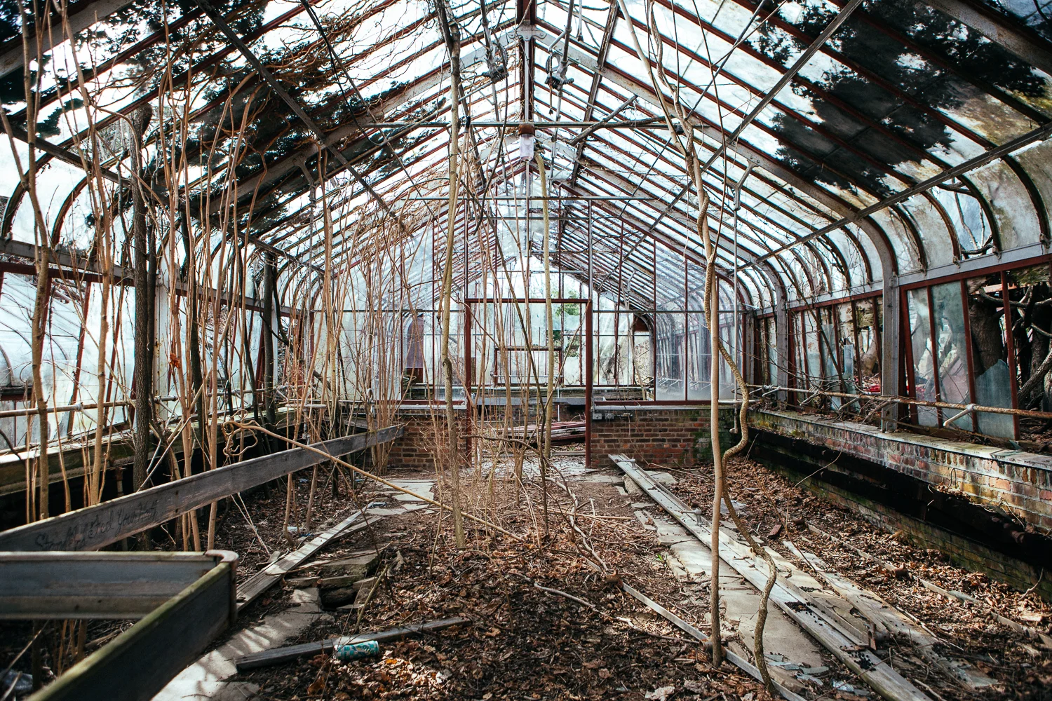 The abandoned greenhouses are still "kinda" working.