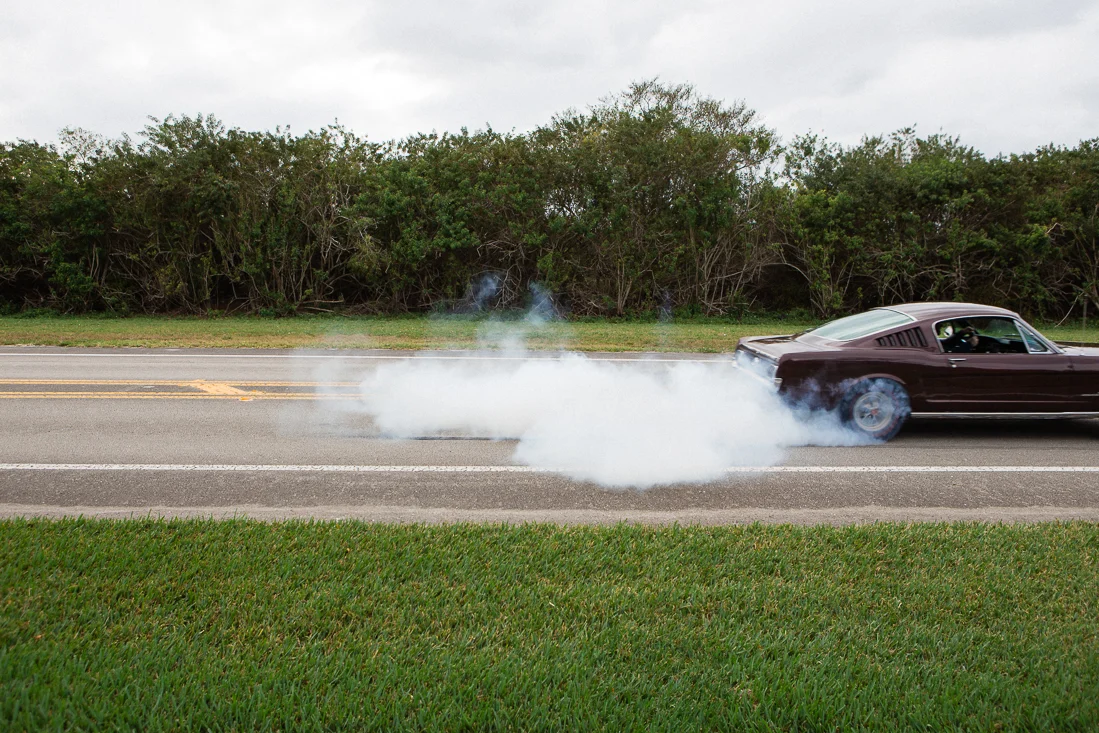 20150308-florida-135.jpg