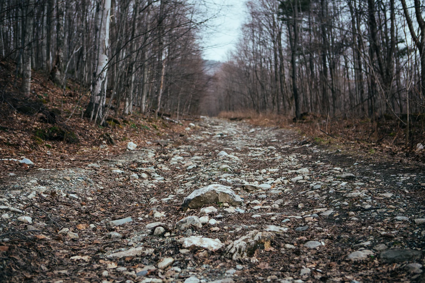 In the backwoods of the Dorset area is an abandoned rock quarry. I tried driving back to it, but around this corner was a muddy road that my camper van couldn't climb. I hoofed it from here.