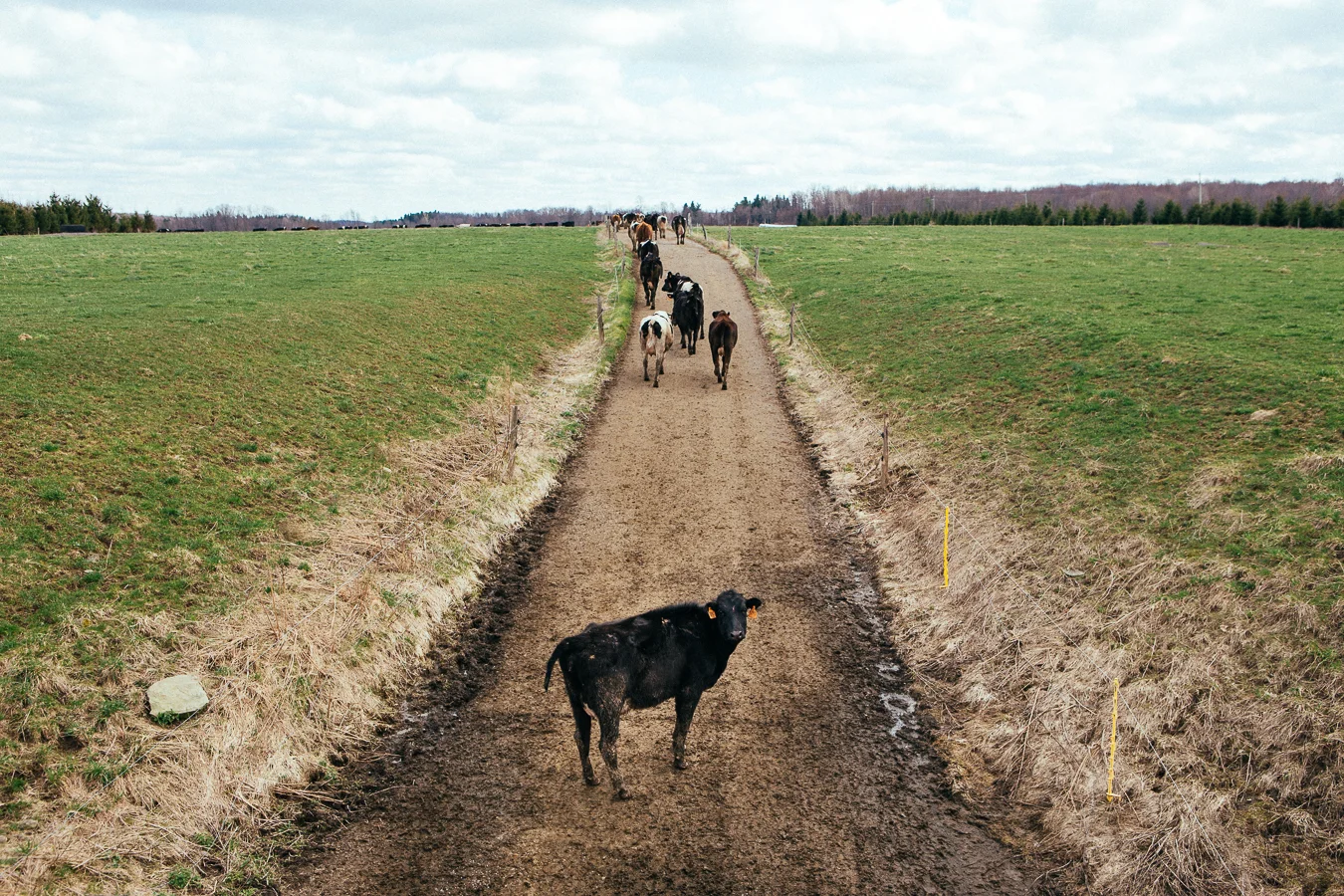 Don't be afraid to stop following the herd. Do what's best for you.