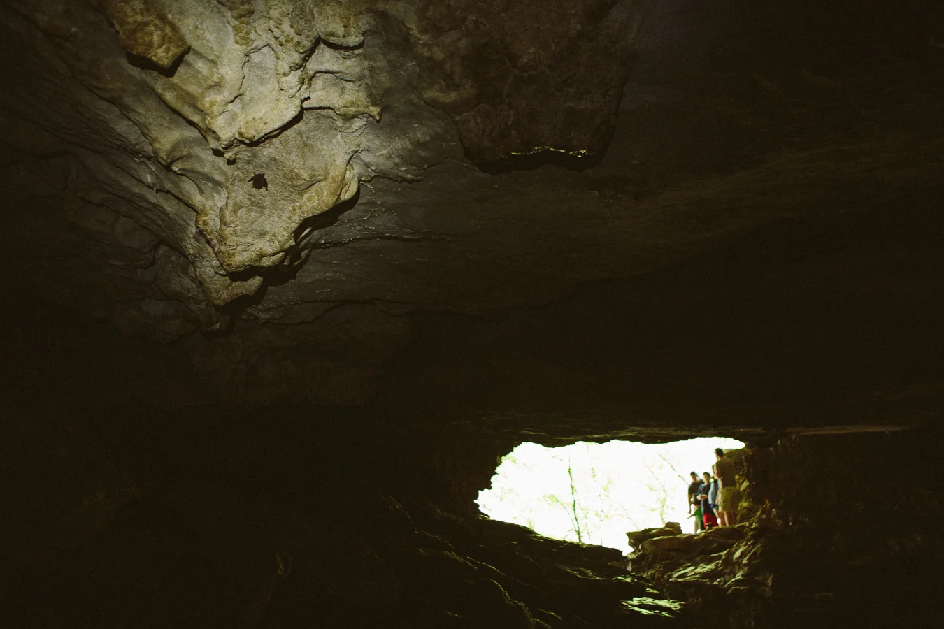 I saw a few bats in there too. This one was only a foot from my head when I walked by...