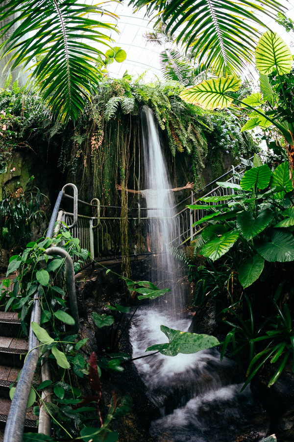 ...and it sprang a leak! Haha, just kidding, it's part of their indoor rain forest.