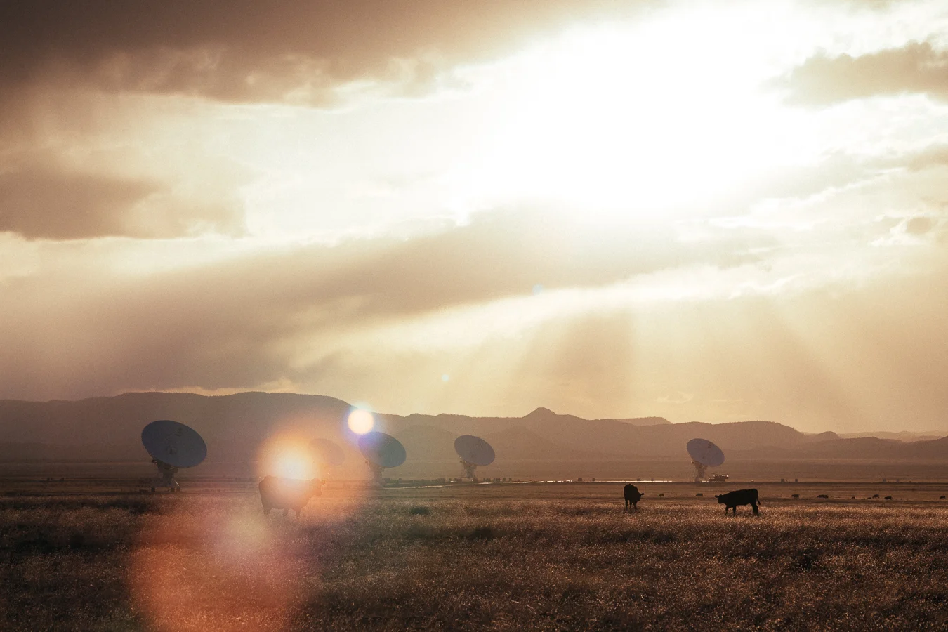 The VLA has been used in a number of movies like Contact, Independence Day, Transformers, Terminator, 2010, and a bunch of music album covers too. 