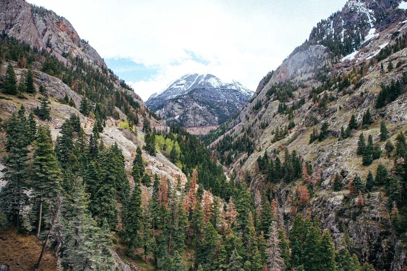 Red Mountain Pass was a big one, nearly overheated my van's engine and had to hang out for a few minutes to cool down.
