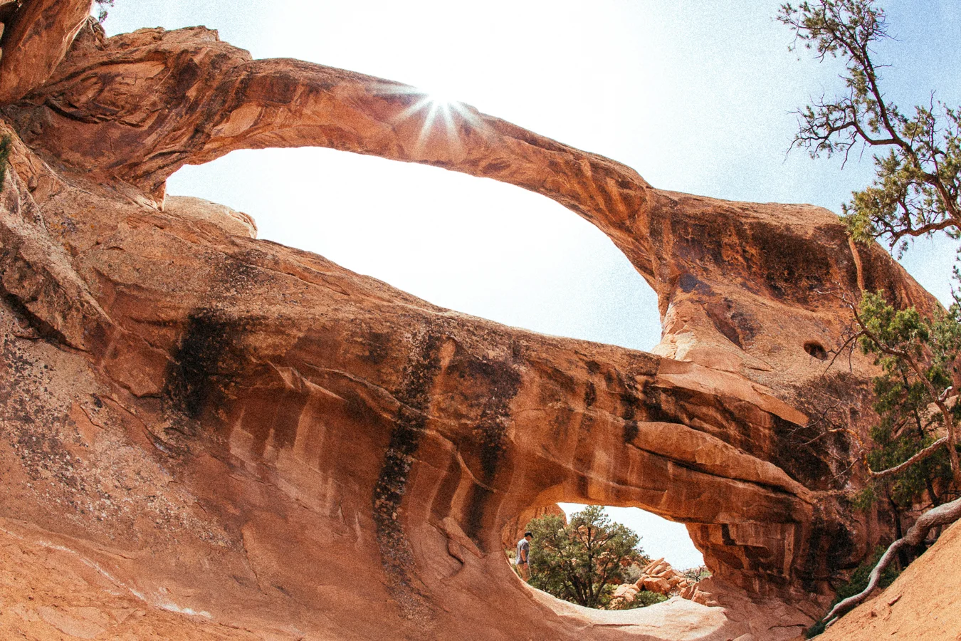 A few miles in on this hot hot day I finally found the Double Arch. I enjoyed double the shade.