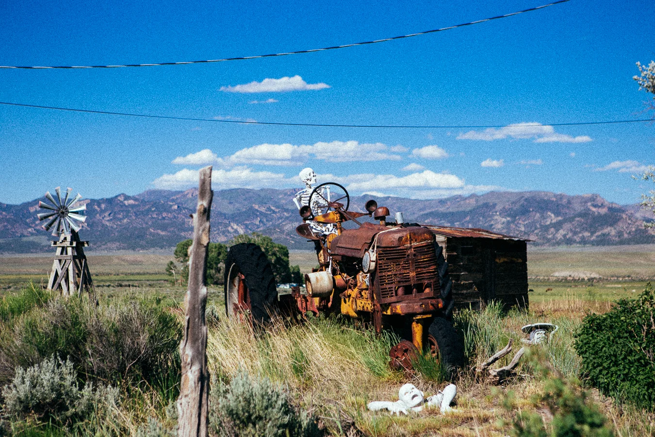 Roadside oddities. I didn't really know what I saw out of the corner of my eye, so I pulled a u-turn and was shocked when I rolled up on this scene.