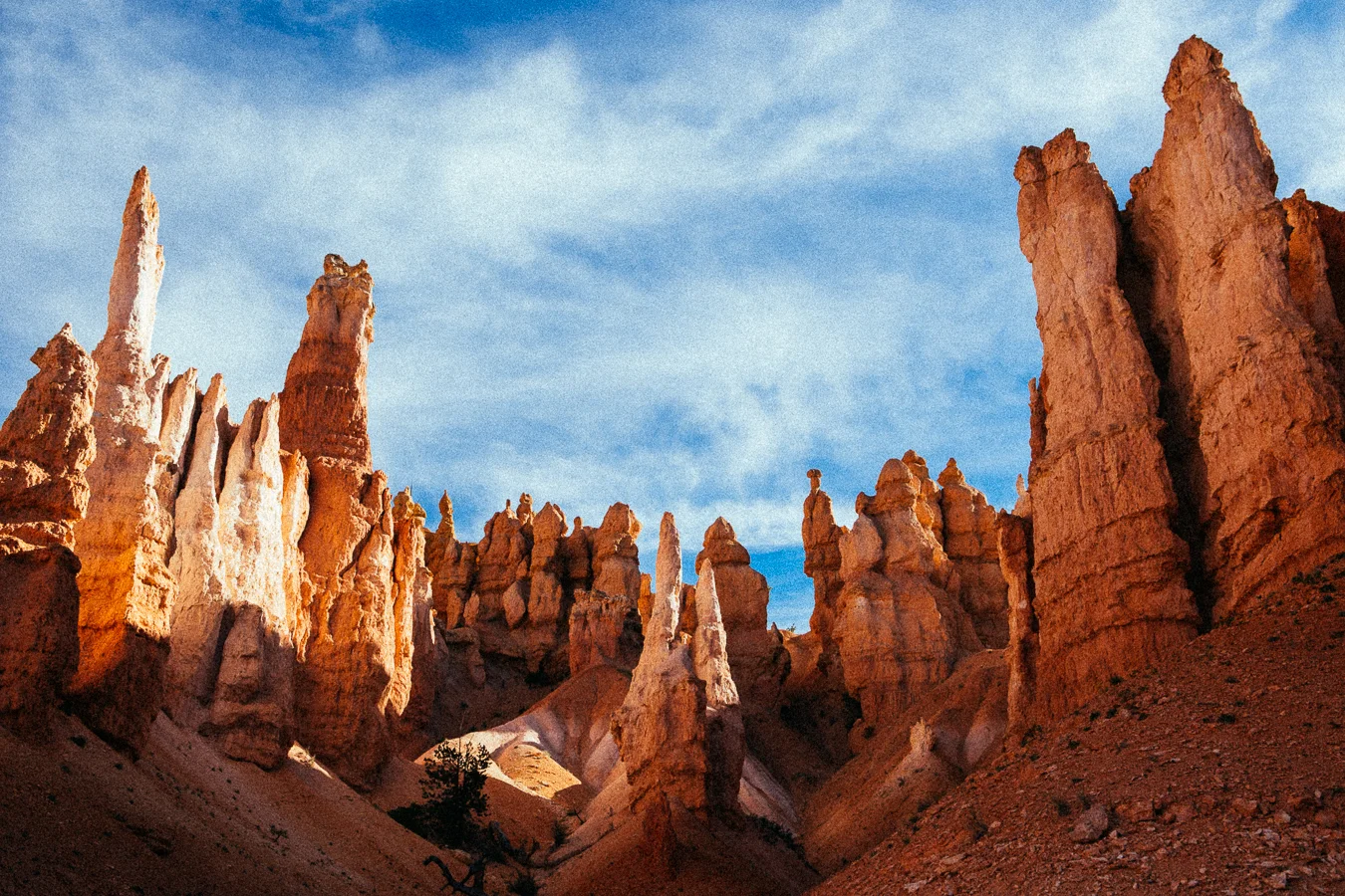 If you go, hike through the Queens Garden & Navajo trail.