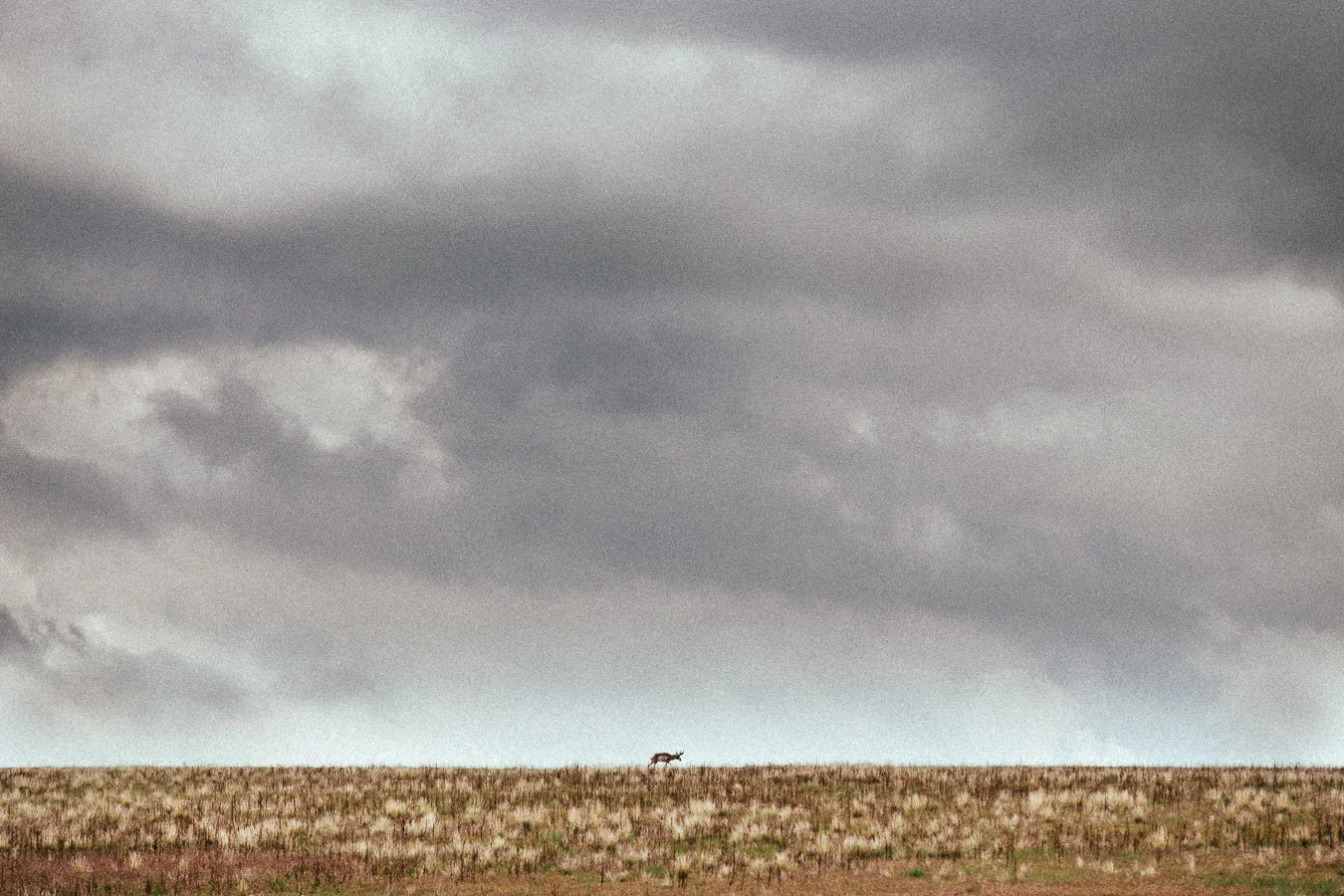 20150526-utah-093.jpg