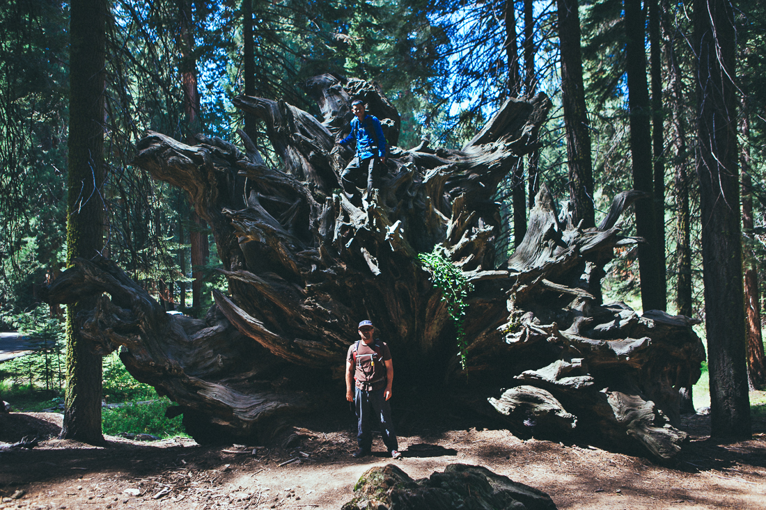These badasses are still fragile beings. The trees, not the fellas. 