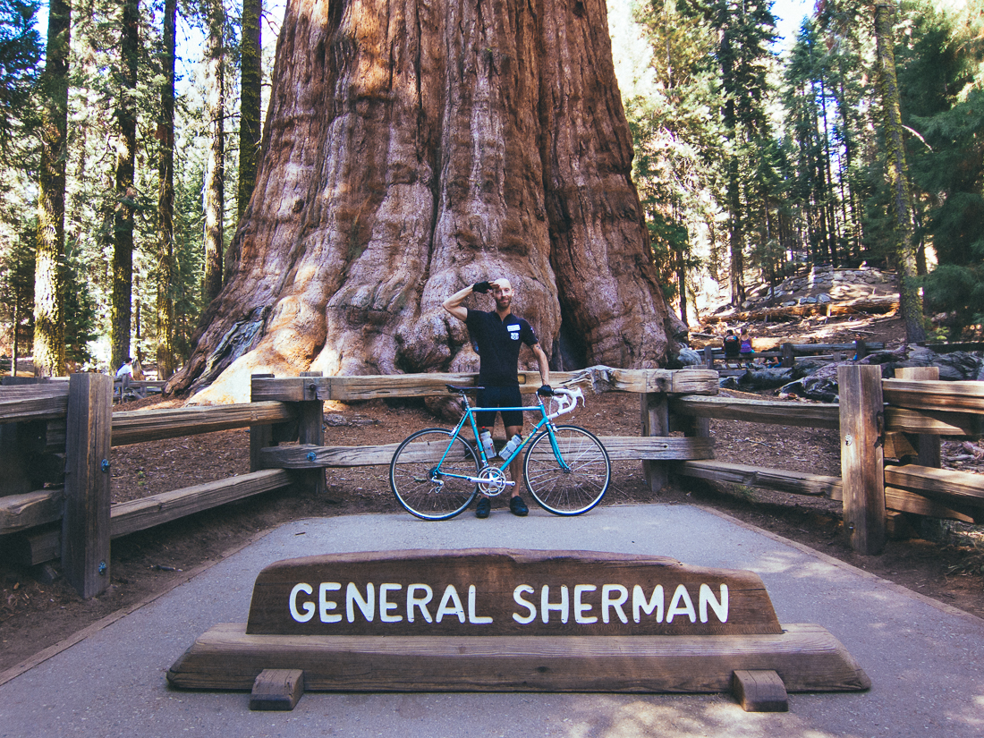 The biggest tree in the world, I salute you. 