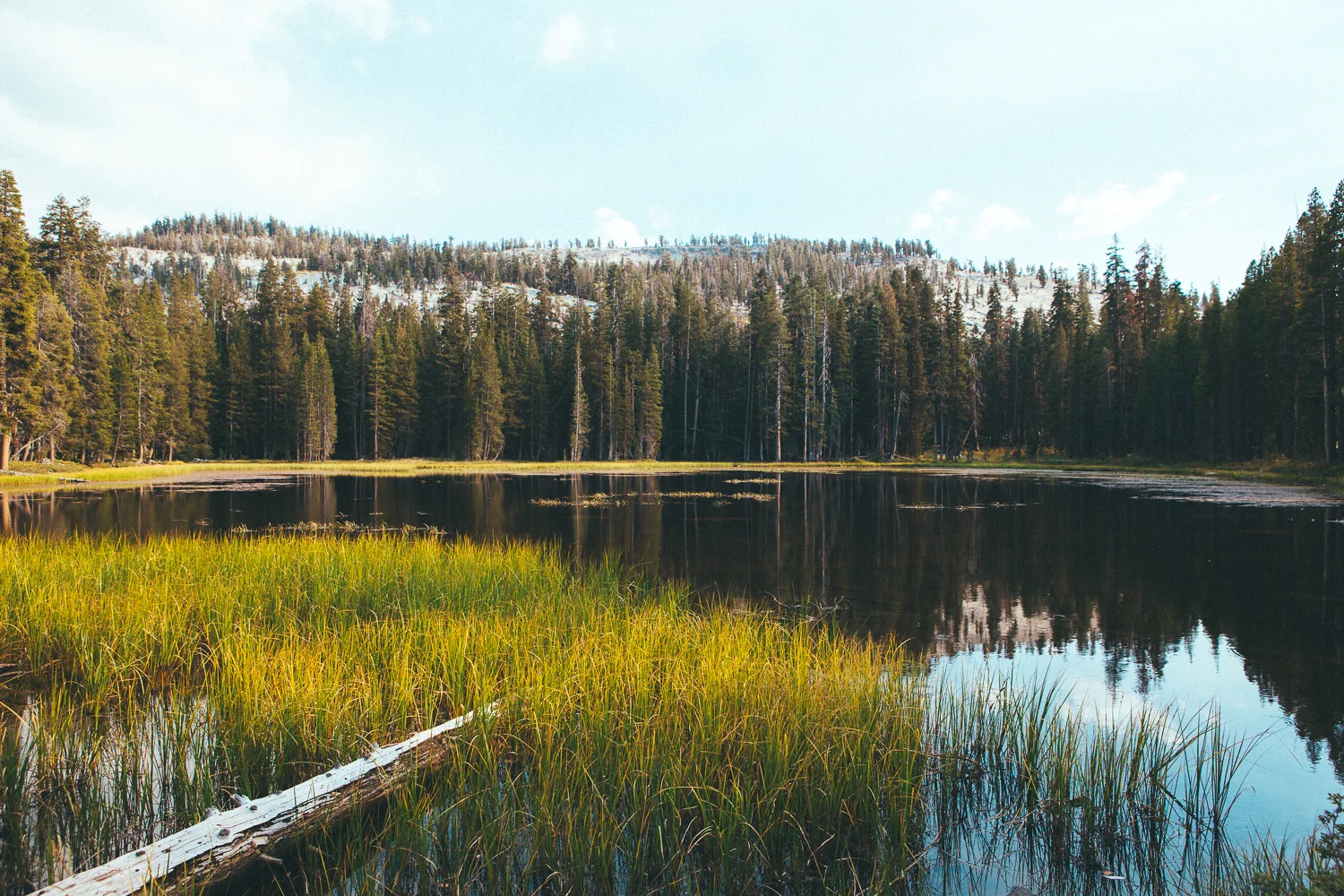 My van's motor was overheating from the climb up the steep hills, so we took a break to cool off at this pond.