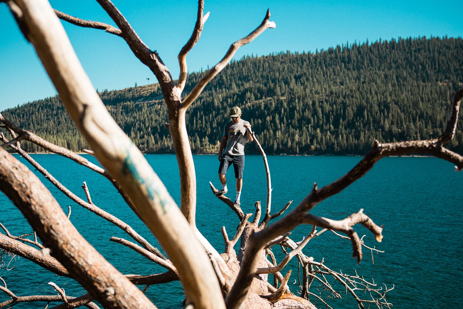 I convinced my good buddy Tyler to go on a couple adventures with me. This was a fallen tree into Donner Lake that I spotted while cycling the day before. I told him they would make great Tinder profile pics.