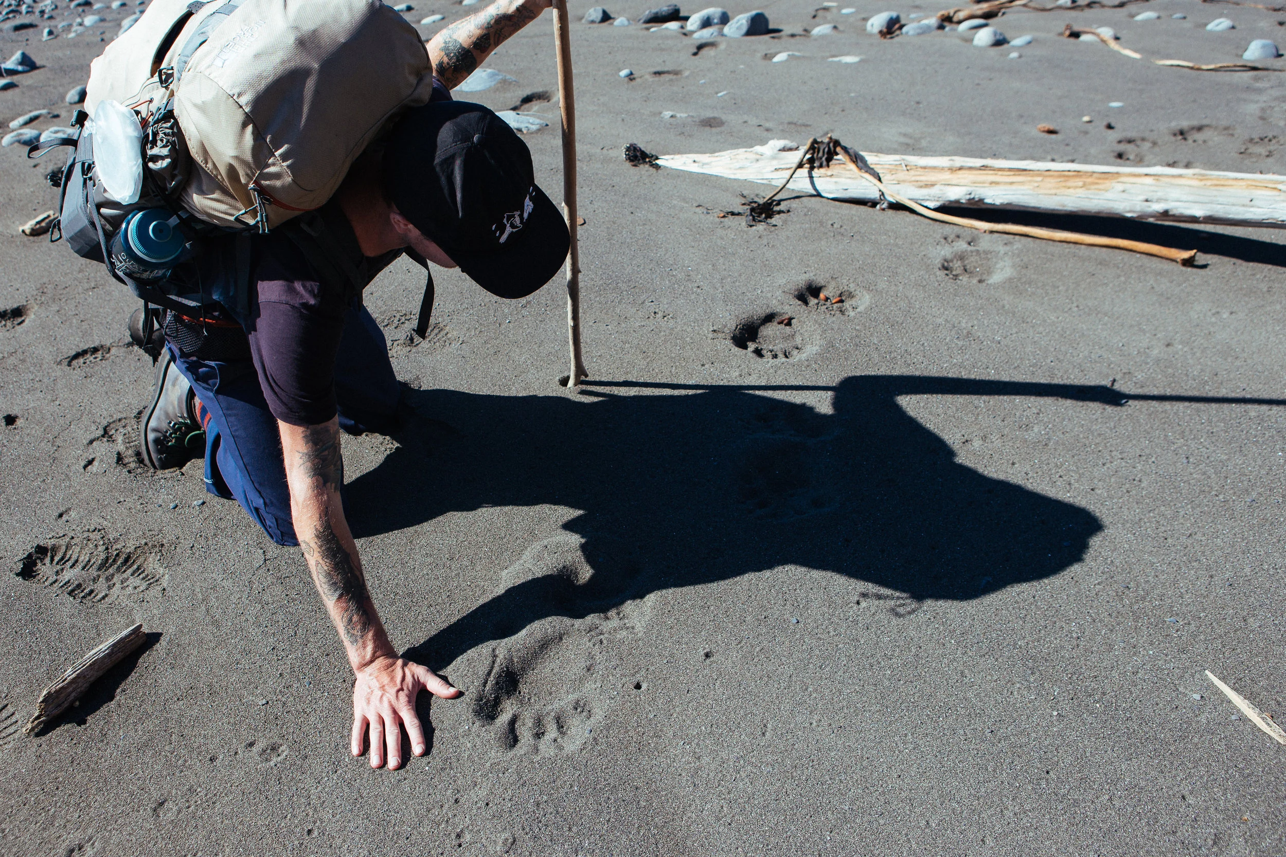 Fresh bear tracks. They were hungry too, and why you put anything of odor in the canister at night and place it far away from your tent.