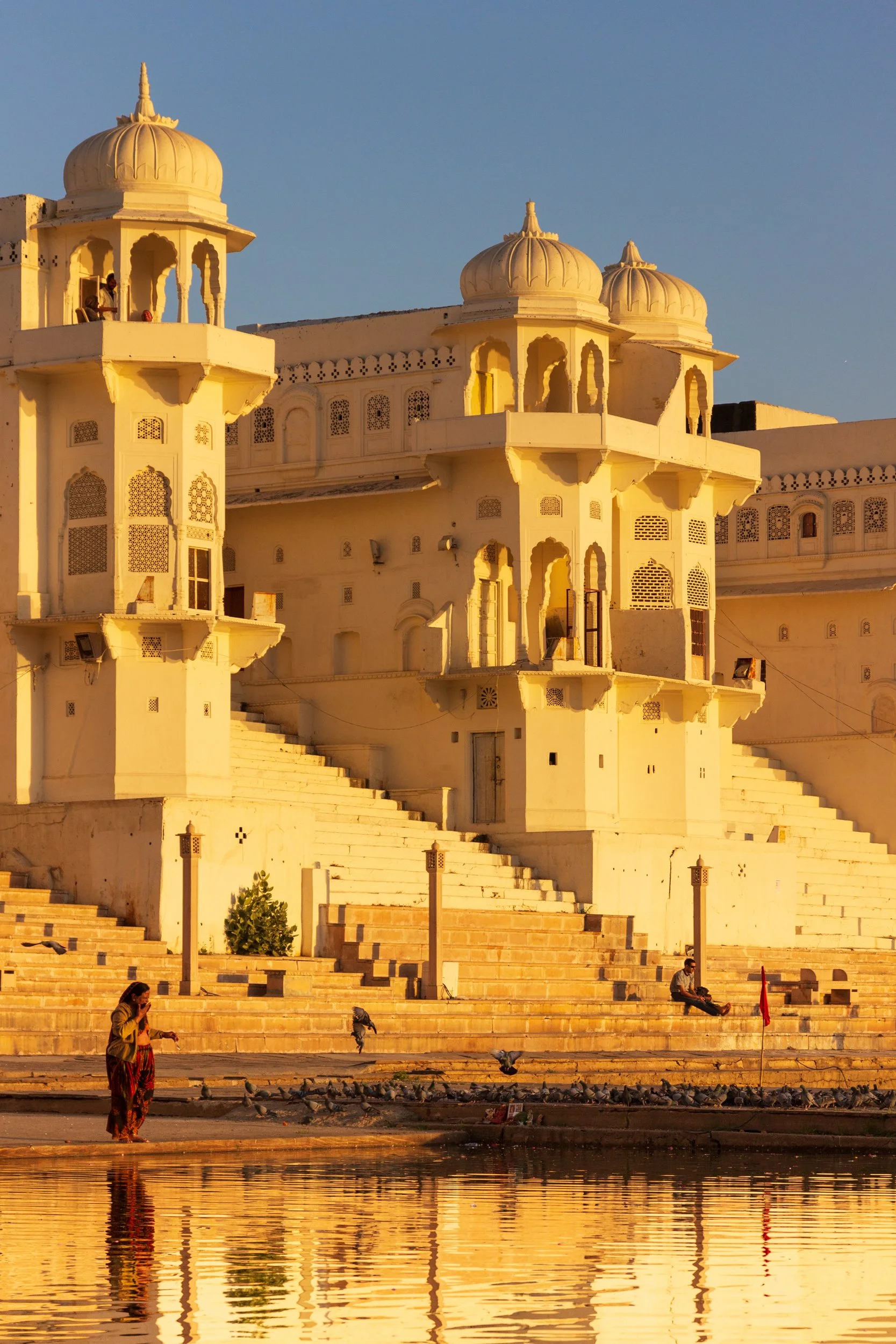 IMG_8519_Pushkar.jpg