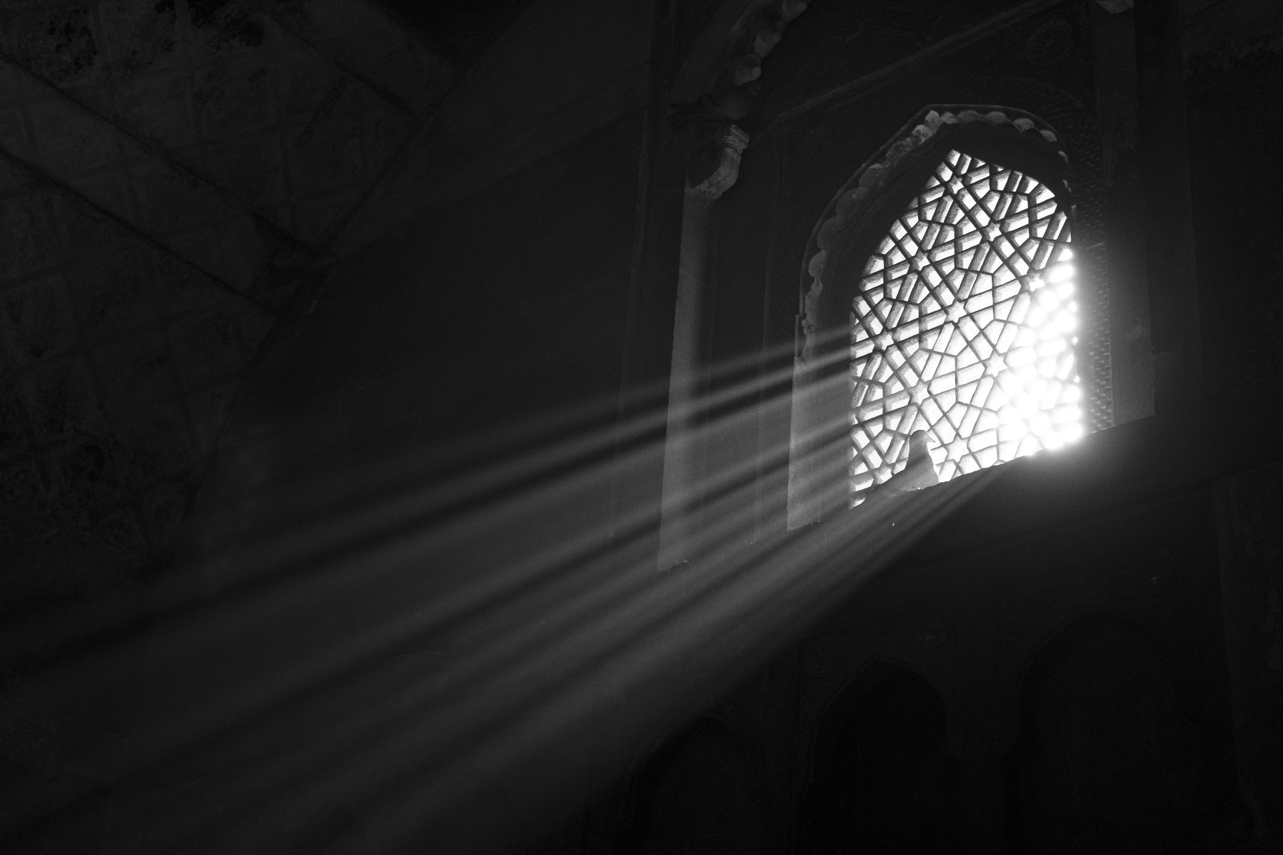 IMG_7828_Agra.jpg