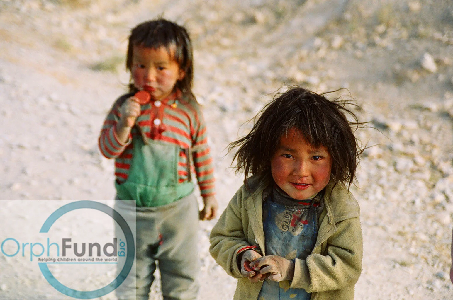 43 Tibet Munchkins 1 copy.jpg