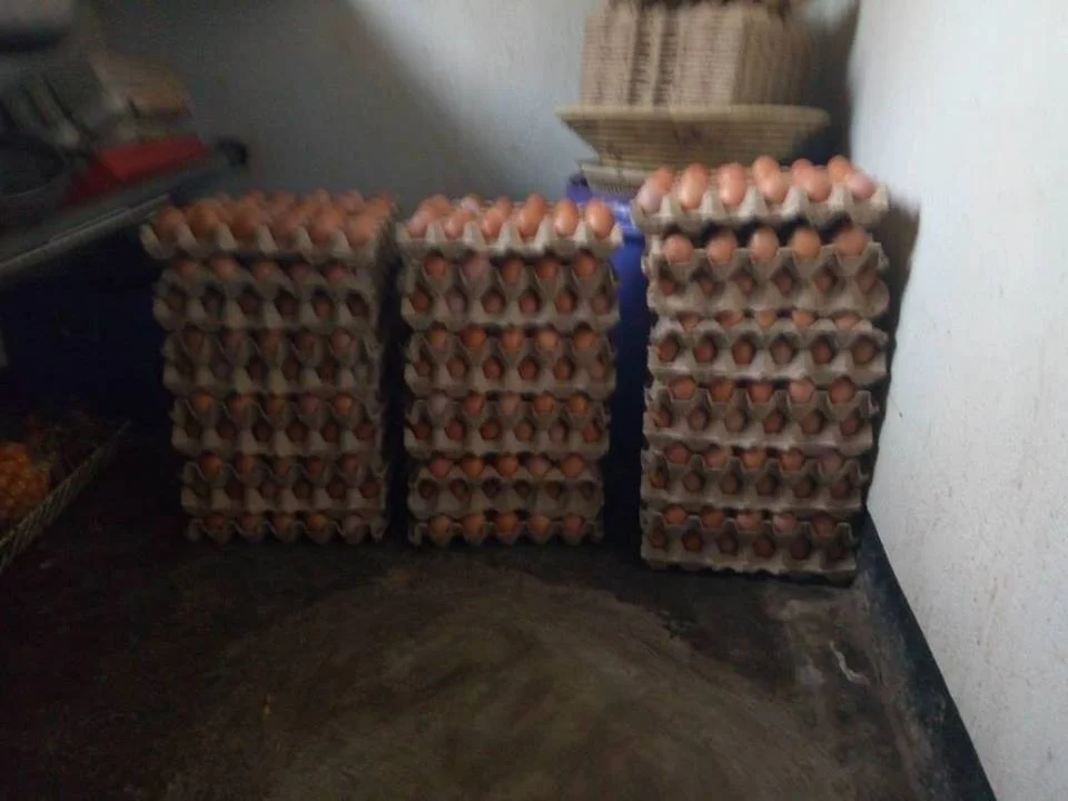 chicken2.jpg