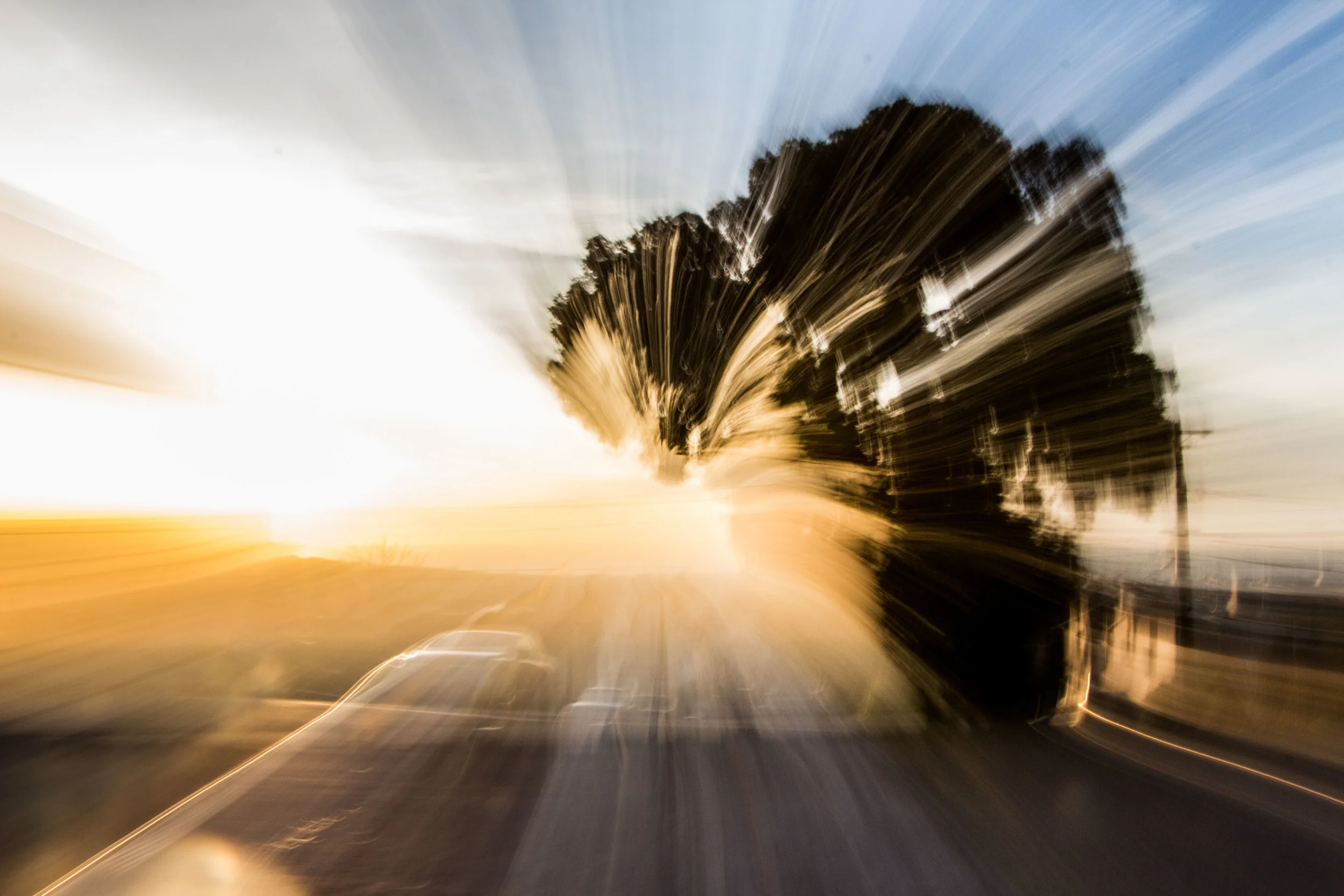 SF Senior Picture-335.jpg