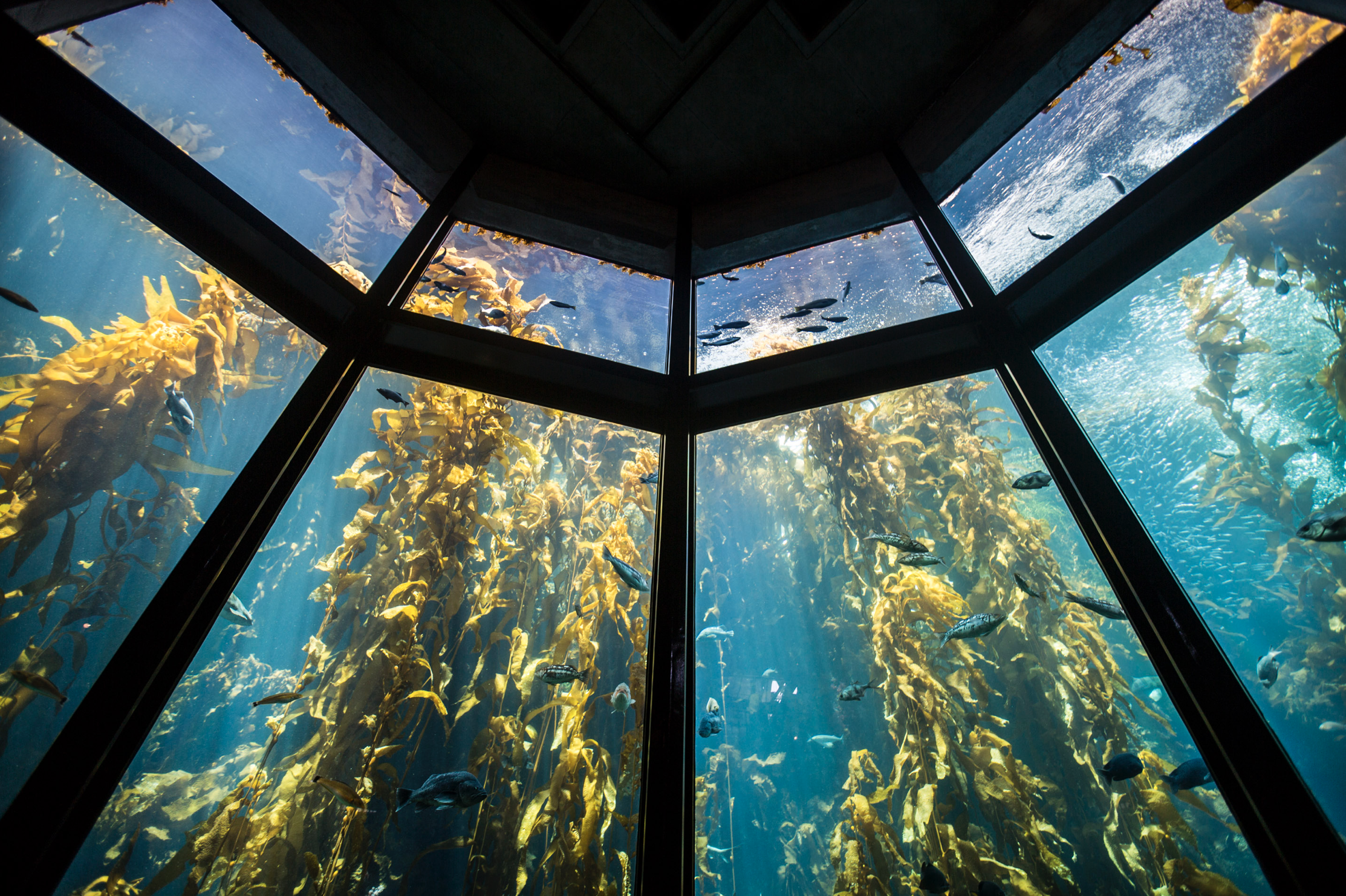 Screen Shot 2017-01-18 at 8.26.59 PM.png