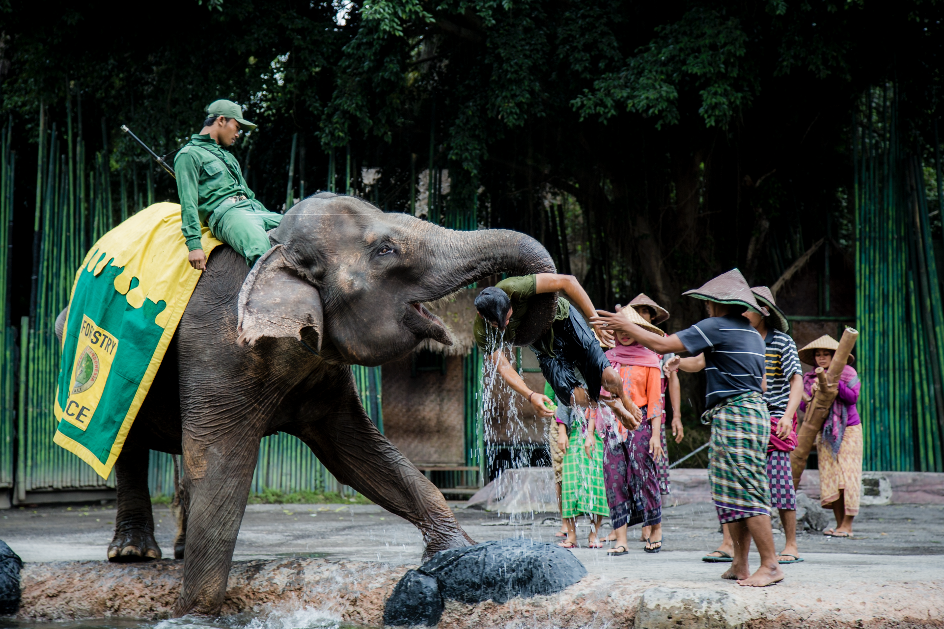 Screen Shot 2017-01-18 at 8.24.39 PM.png