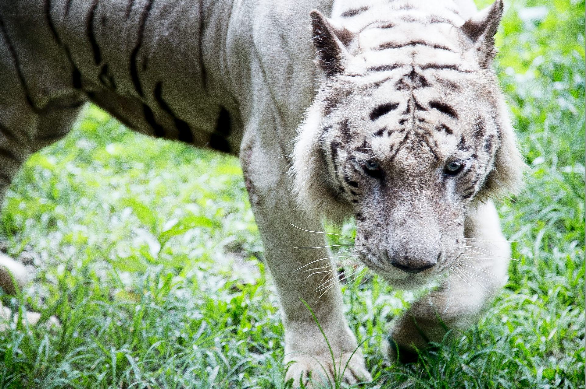 Screen Shot 2017-01-18 at 8.07.43 PM.png