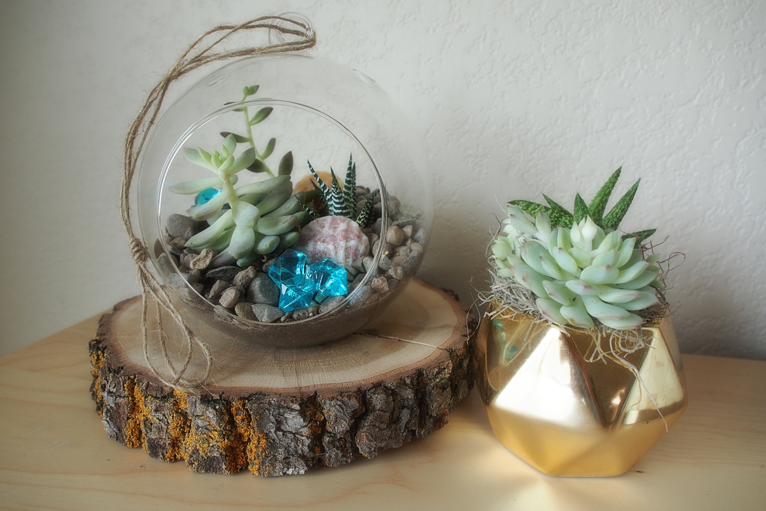 The Secret Garden Hanging Terrarium &amp; Prism Planter