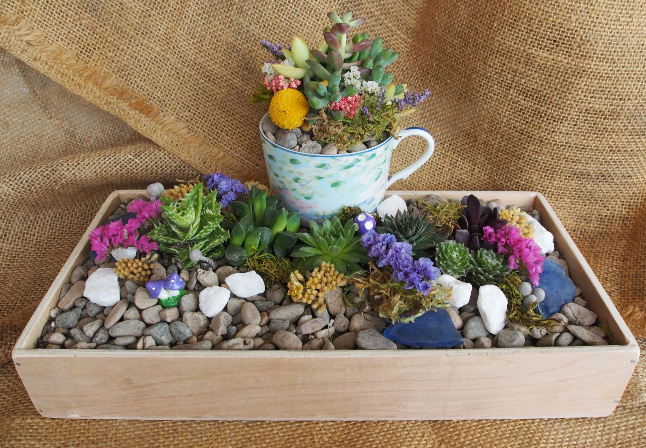 Orfila Tea Cup & Succulent Garden Workshop
