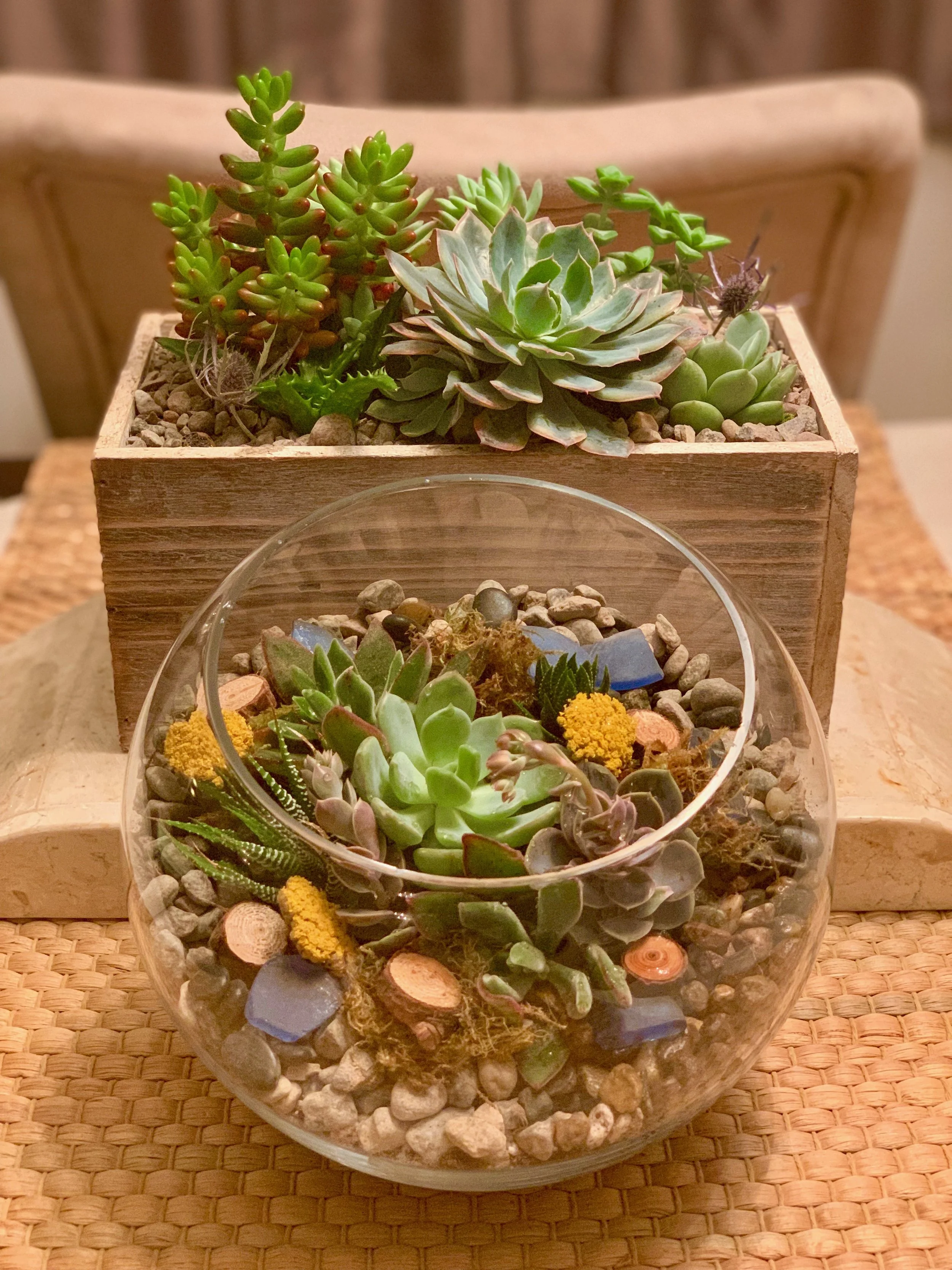 LA Ale Works Brewery Succulent Workshop