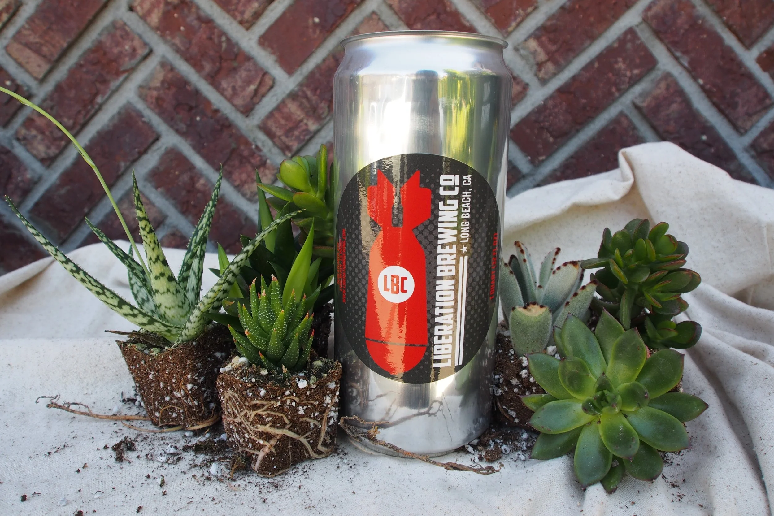 Liberation Succulent Workshop