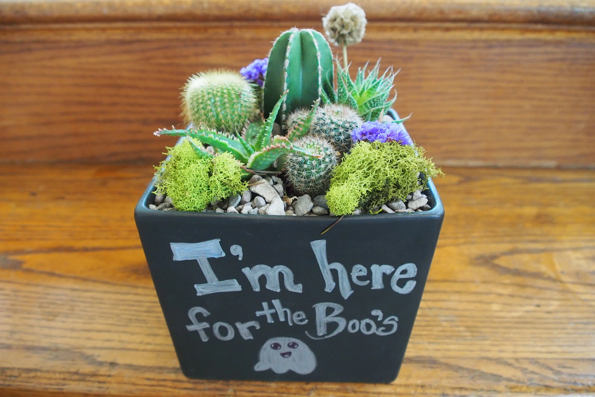 Halloween Cacti &amp; Succulent Workshop 