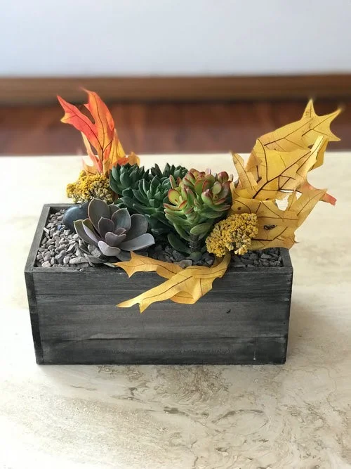 4PM Fall Succulent Centerpiece