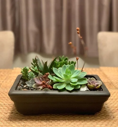 ceramic (1).jpg