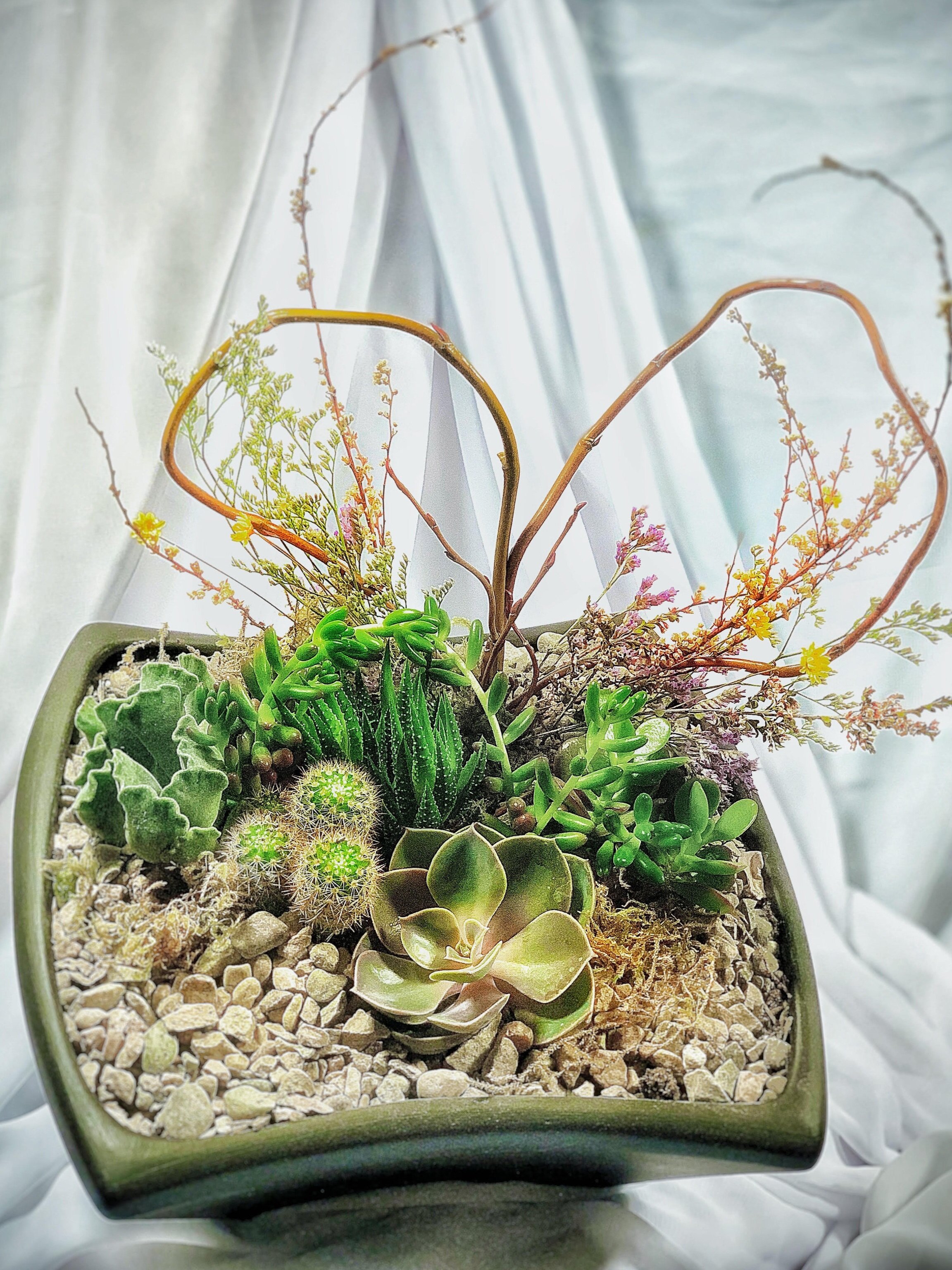 2/13 Valentine's Succulent Workshop- Los Cerritos 4pm
