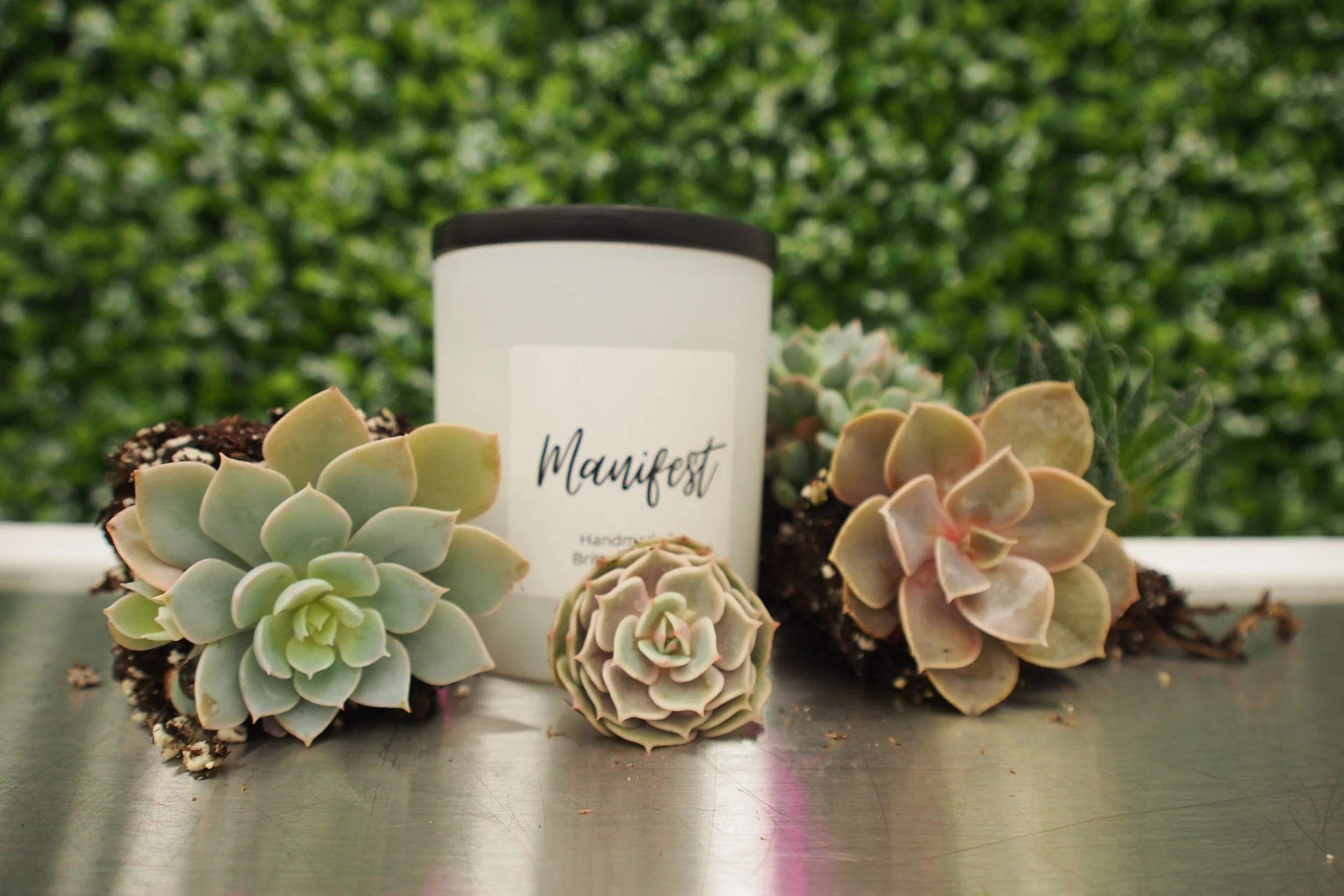 Succulent Workshop @ Banter &amp; Bliss Candle Co. 2/11