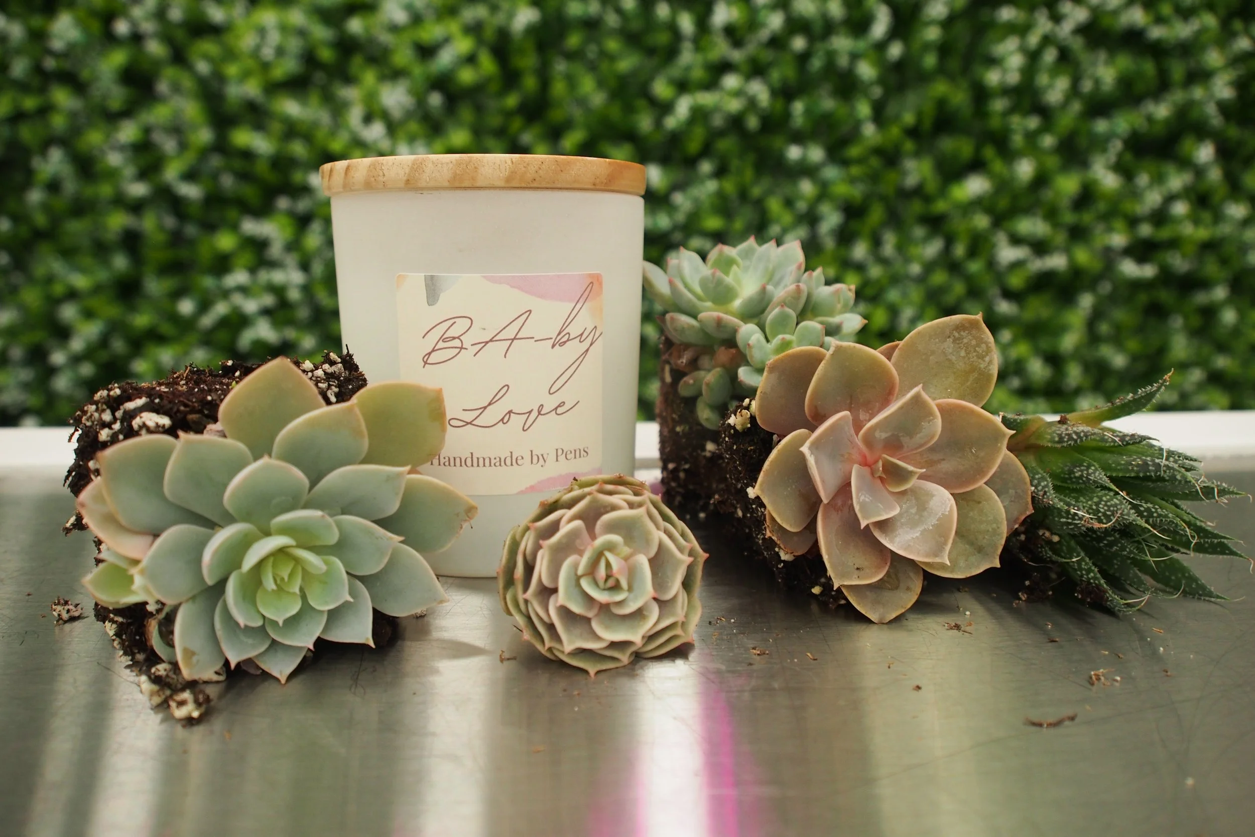 Succulent Workshop @ Banter &amp; Bliss 2/12