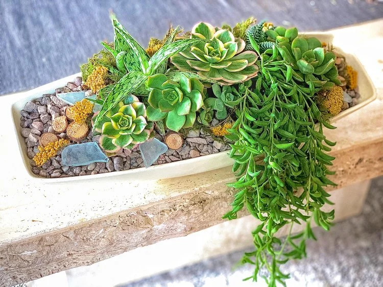 succlongplanter.jpg