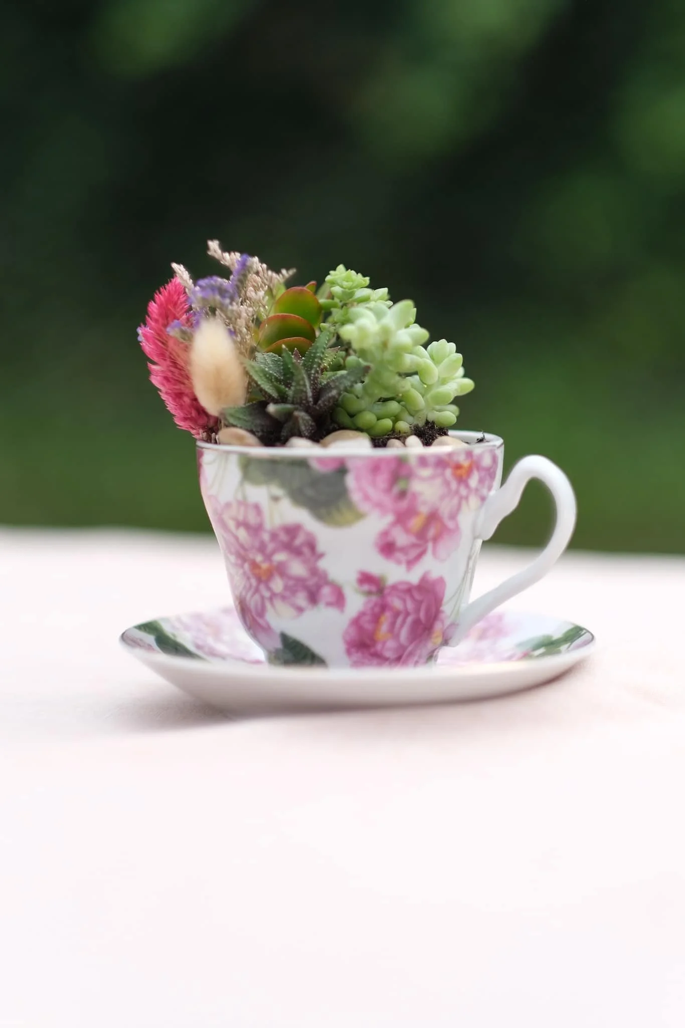 teacup.jpg