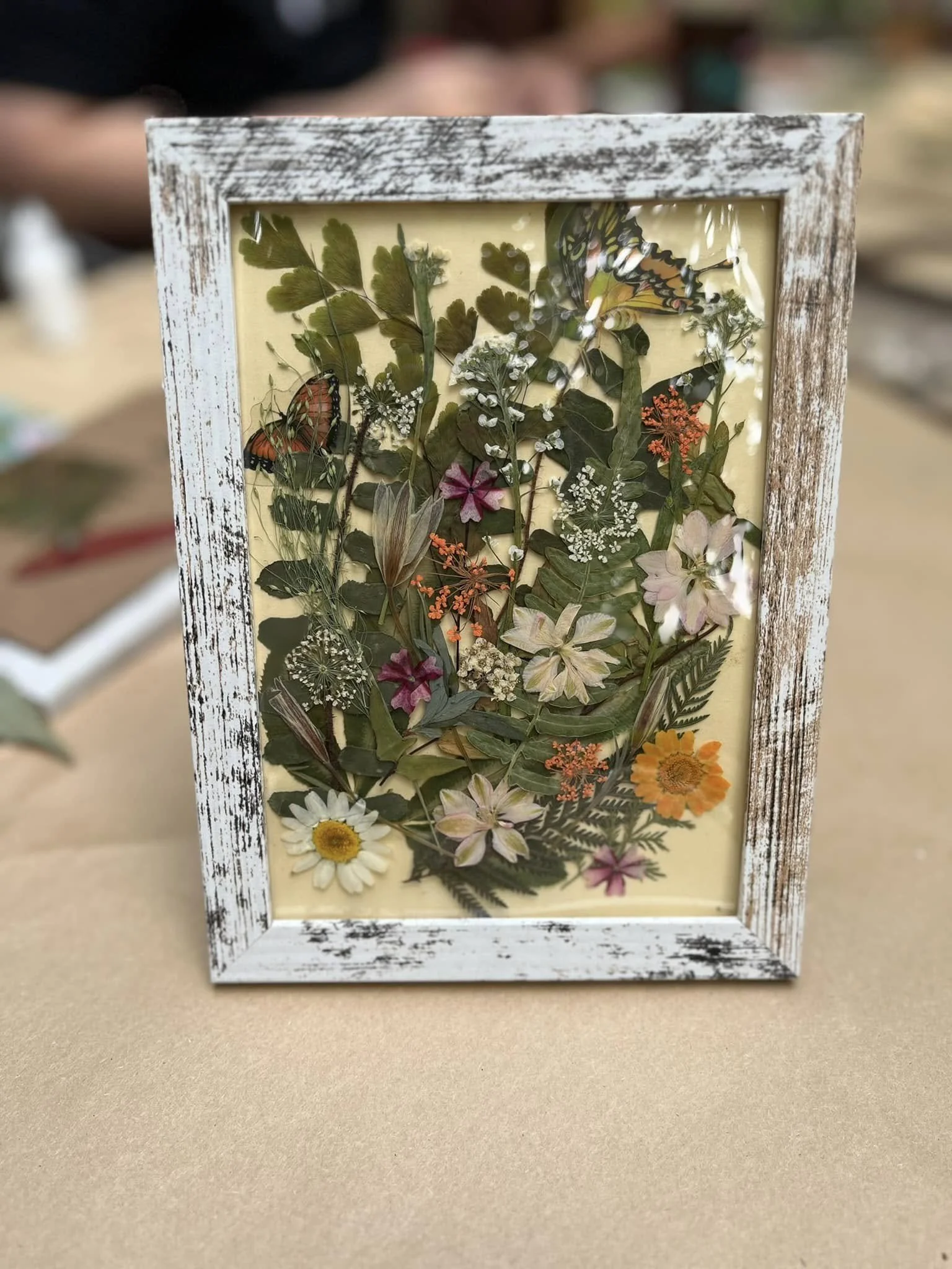 484191675_122205817898082435_6862846518579857246_n.jpg