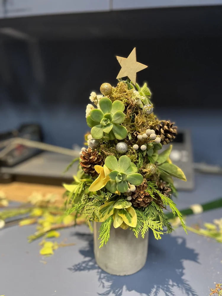 12/20 Miniature Succulent Christmas Tree 5PM  Rooted Harmony
