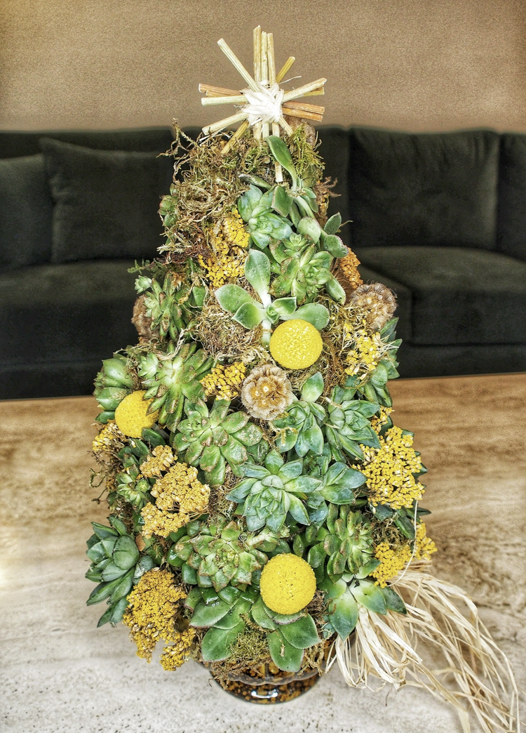 12/20 Miniature Succulent Christmas Tree 5PM  Rooted Harmony
