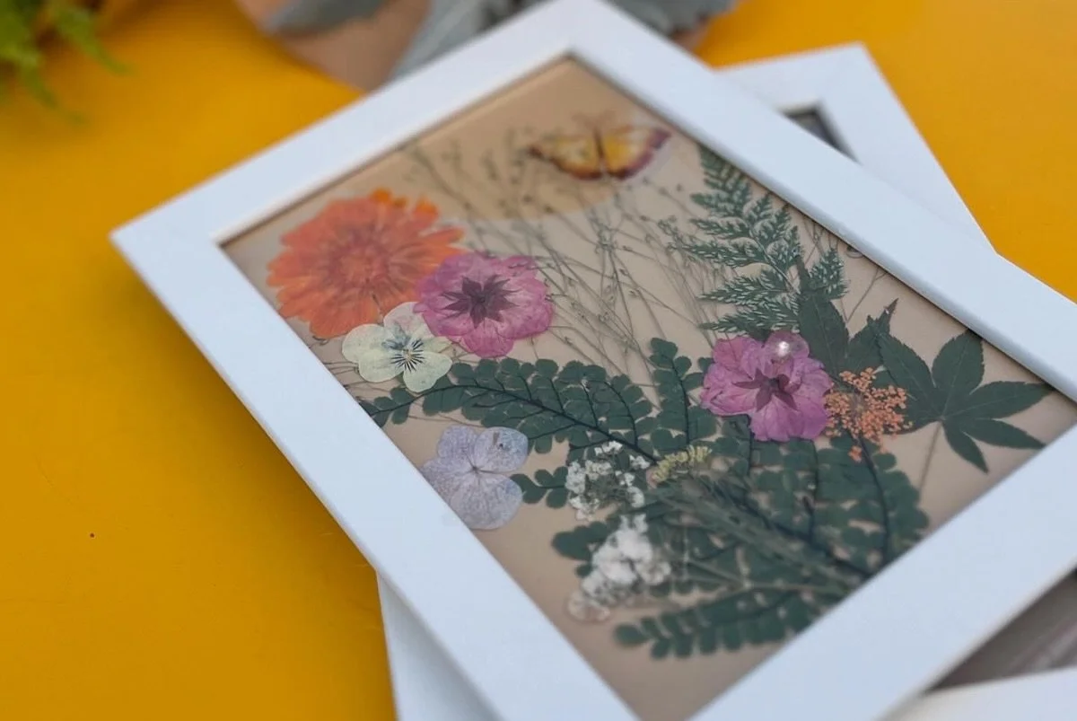 444990731_18434525815046701_2812625550661846775_n.jpg