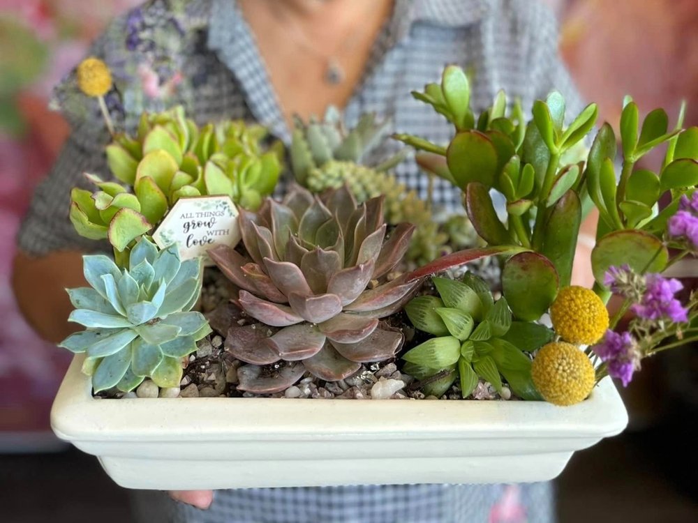 succulent plant wall decor Wall Decor Idea: Large Ceramic Succulent Flower Green Art  Chive US  Wholesale