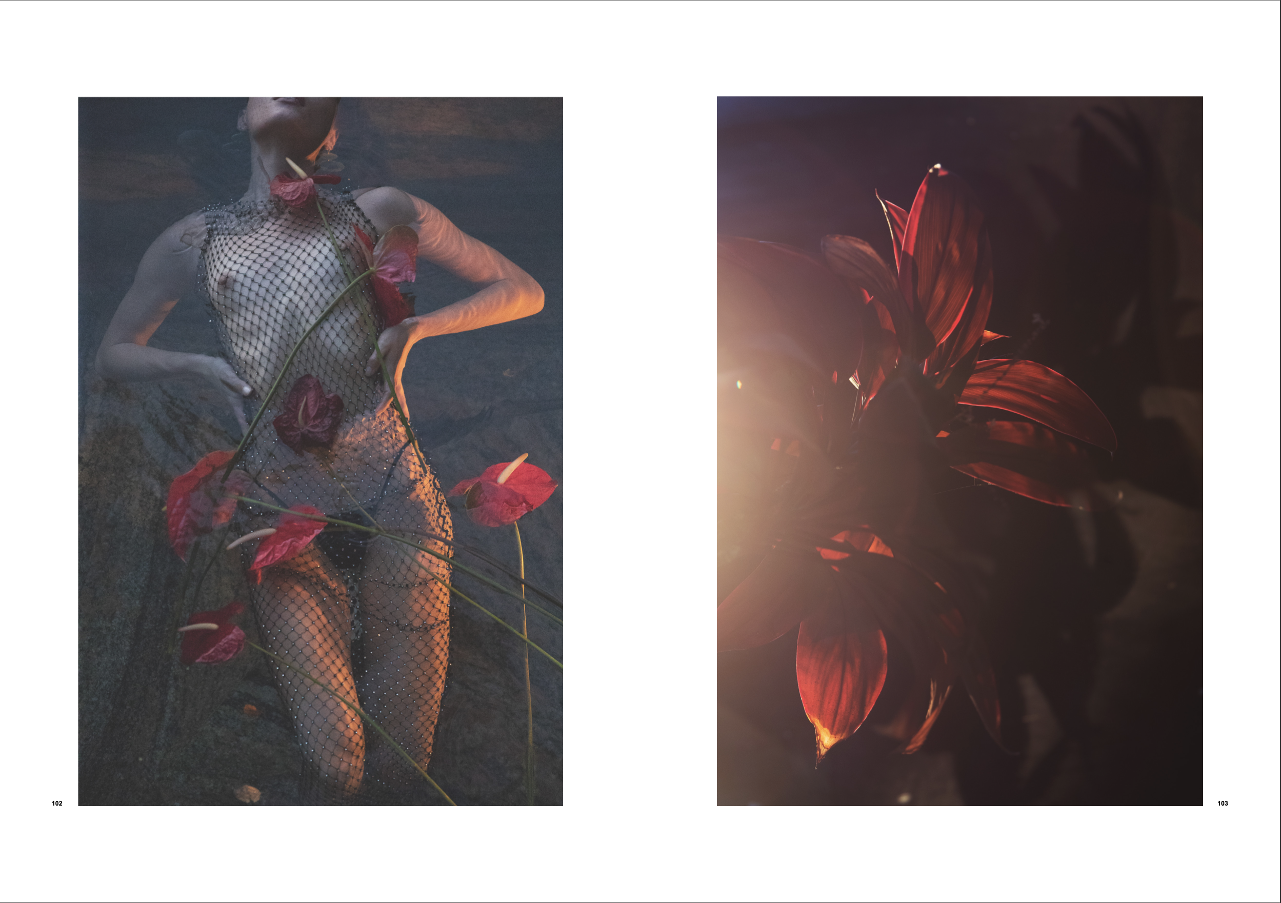 Screen Shot 2020-04-07 at 7.55.55 PM.png