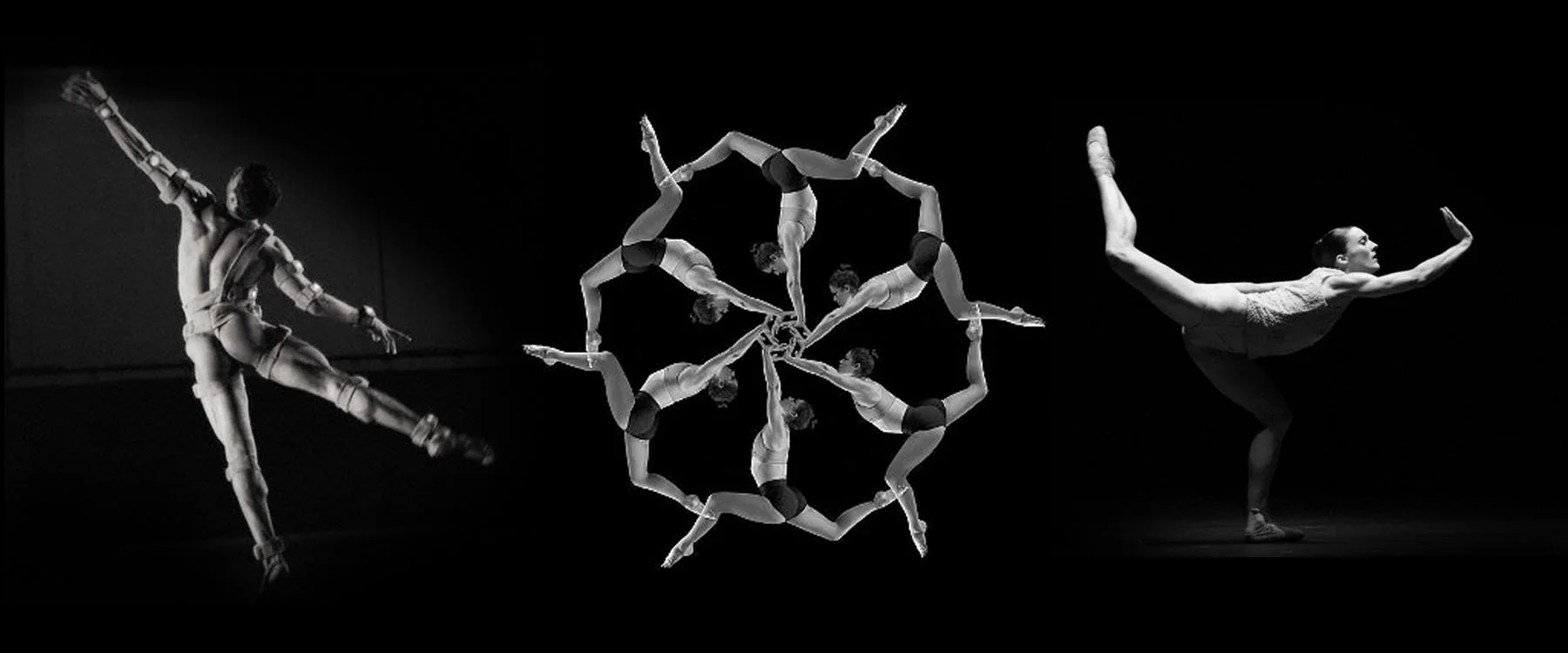 banner 3.jpg