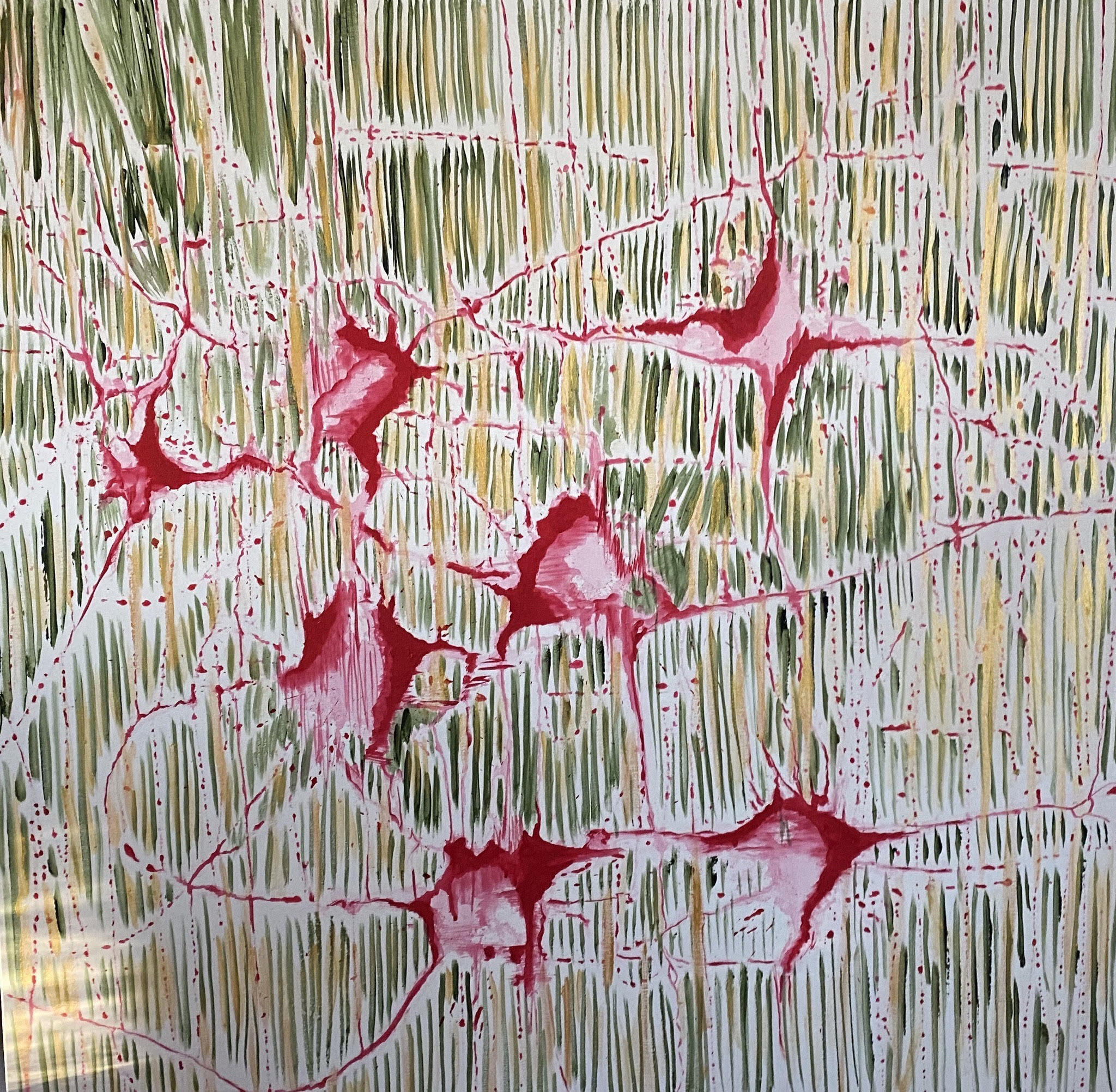 Paperbark.jpg
