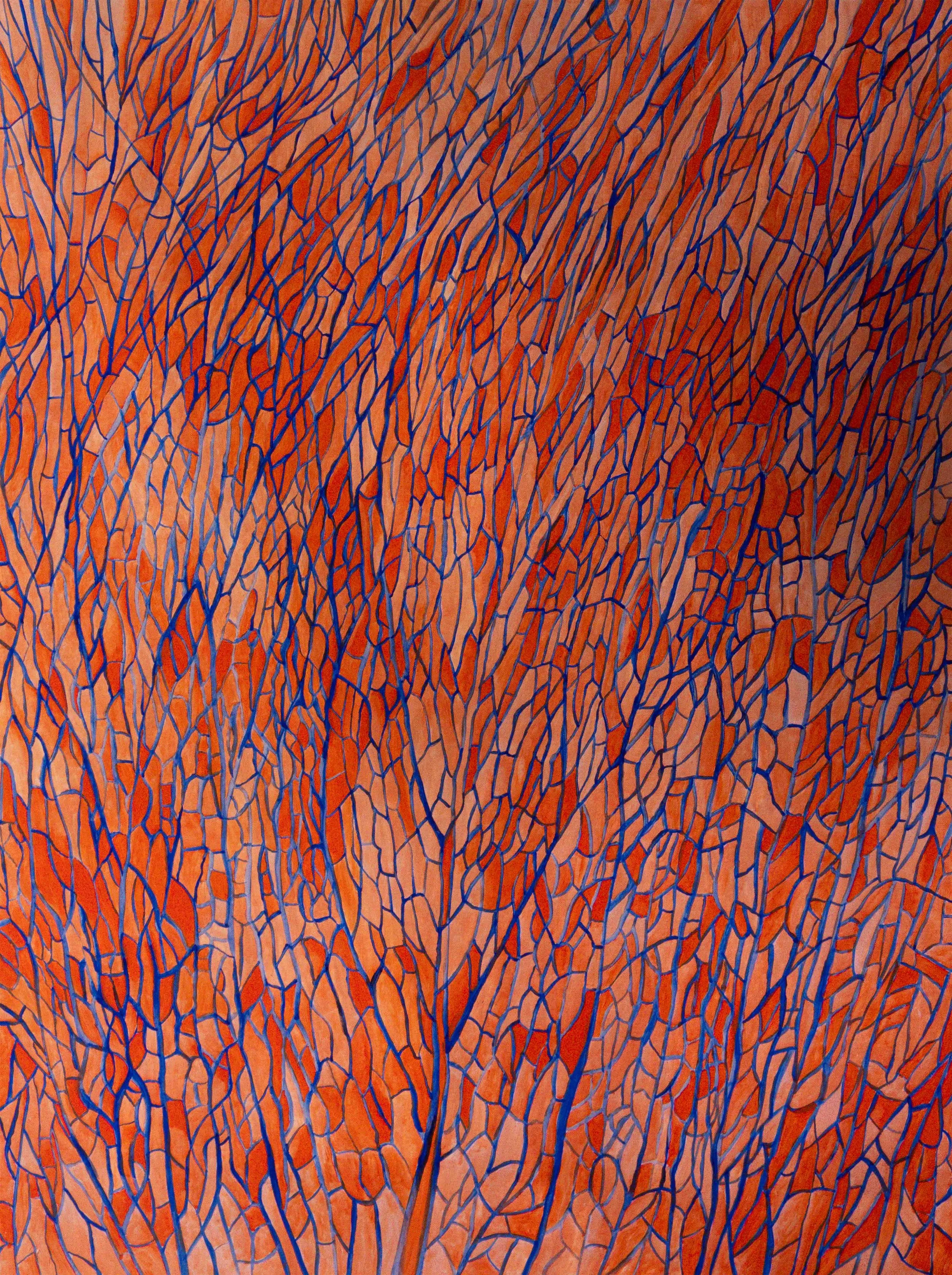 Eucalypt.jpg
