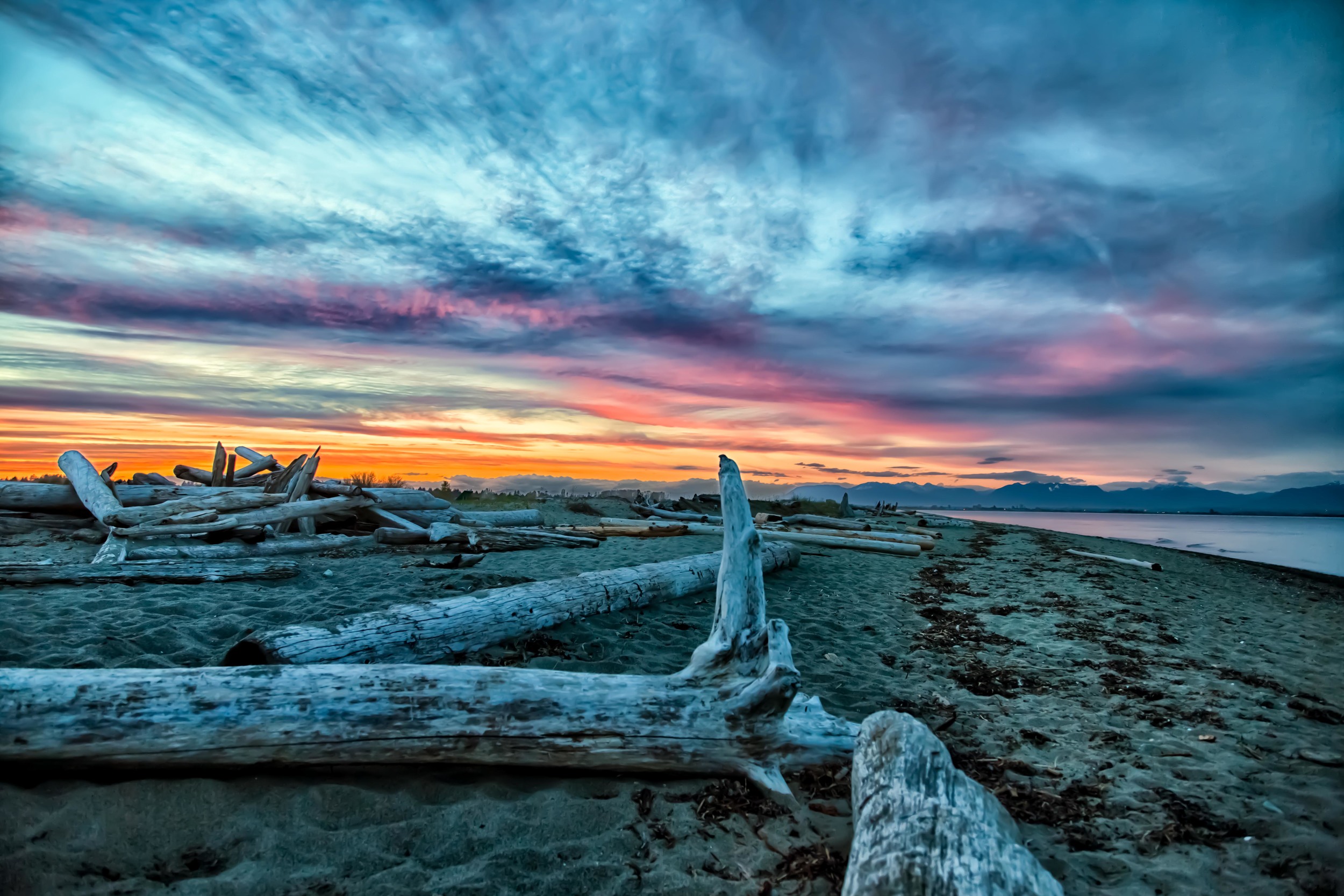 Boundary Bay Regional Park, BC, Canada